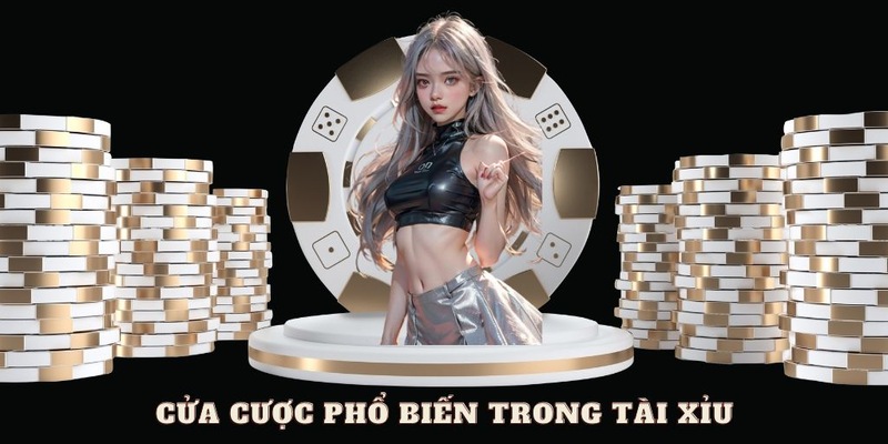 Các cửa cược phổ biến trong tài xỉu là gì